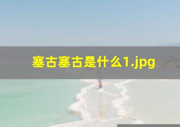 塞古塞古是什么