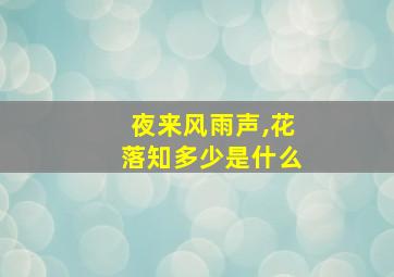 夜来风雨声,花落知多少是什么