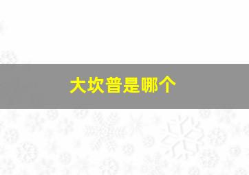 大坎普是哪个