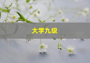 大学九级