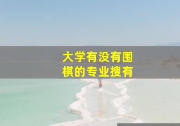 大学有没有围棋的专业搜有