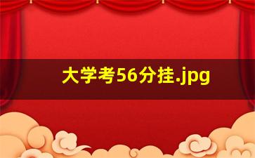 大学考56分挂