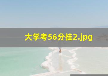 大学考56分挂