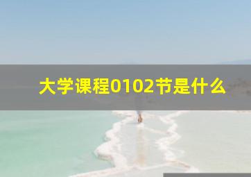 大学课程0102节是什么