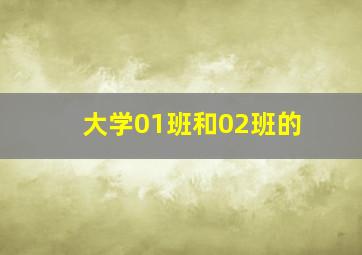 大学01班和02班的