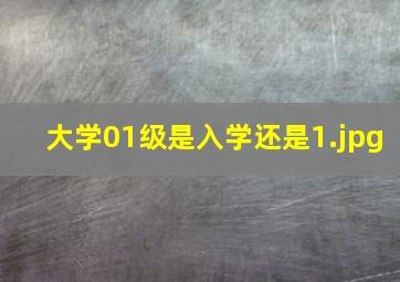 大学01级是入学还是