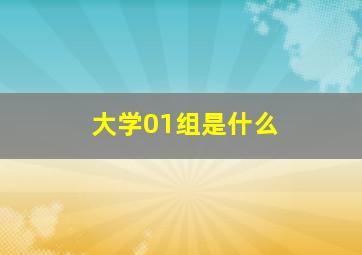 大学01组是什么