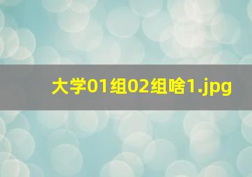大学01组02组啥