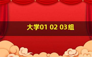 大学01 02 03组