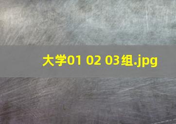 大学01 02 03组