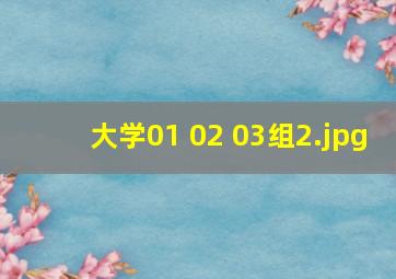 大学01 02 03组