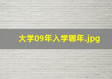 大学09年入学哪年