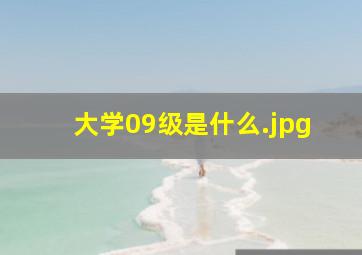 大学09级是什么