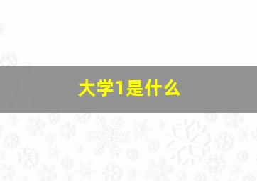 大学1是什么