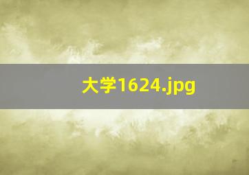 大学1624