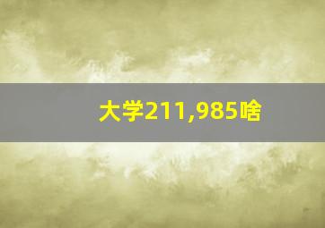 大学211,985啥