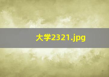 大学2321