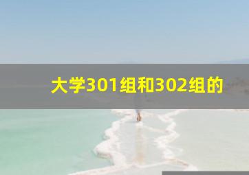 大学301组和302组的