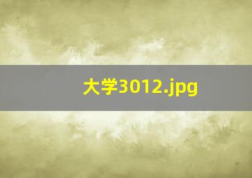 大学3012