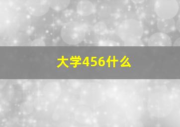 大学456什么