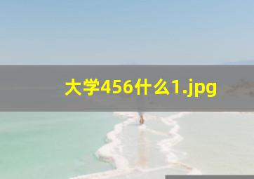 大学456什么