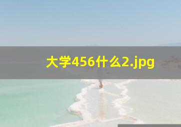 大学456什么