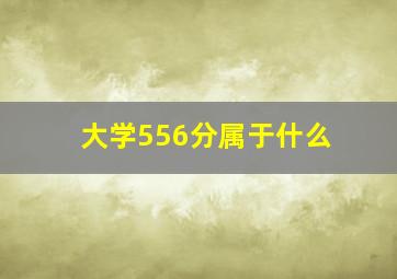 大学556分属于什么