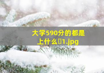 大学590分的都是上什么�