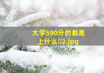 大学590分的都是上什么�