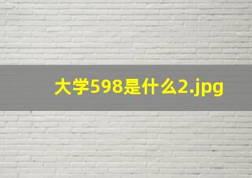 大学598是什么