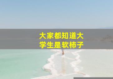 大家都知道大学生是软柿子