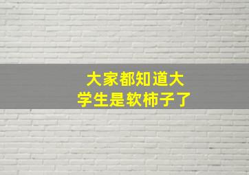 大家都知道大学生是软柿子了