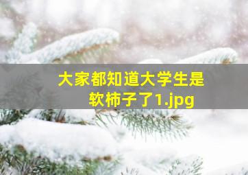 大家都知道大学生是软柿子了