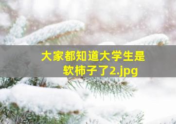 大家都知道大学生是软柿子了