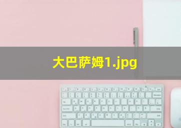 大巴萨姆