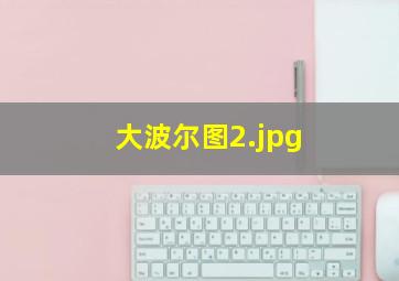 大波尔图