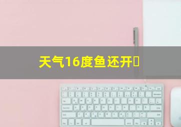天气16度鱼还开�
