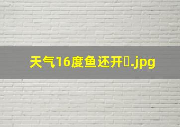 天气16度鱼还开�
