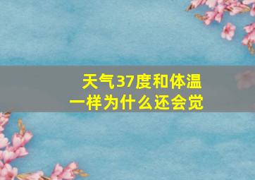天气37度和体温一样为什么还会觉