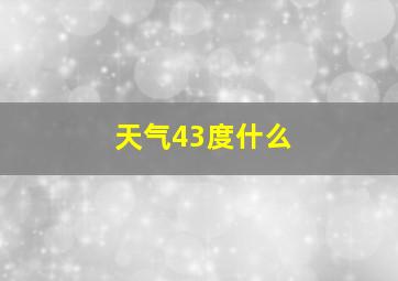 天气43度什么
