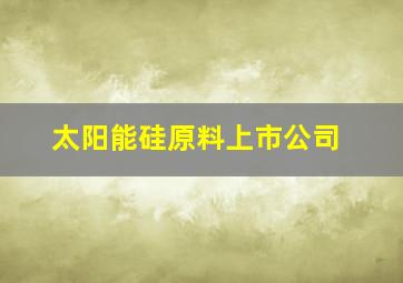 太阳能硅原料上市公司