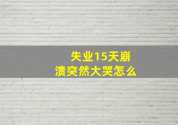 失业15天崩溃突然大哭怎么