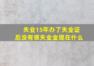 失业15年办了失业证后没有领失业金现在什么