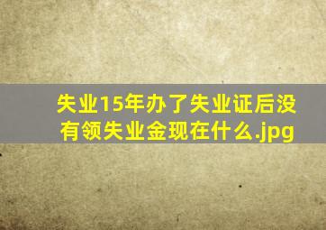 失业15年办了失业证后没有领失业金现在什么