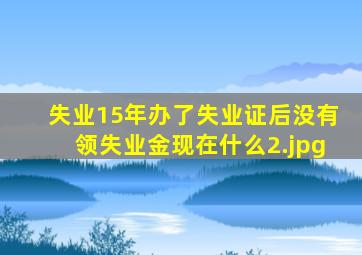 失业15年办了失业证后没有领失业金现在什么
