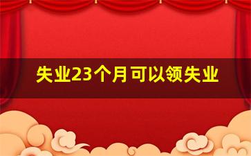 失业23个月可以领失业