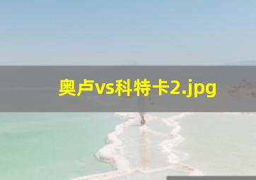 奥卢vs科特卡