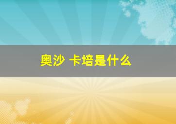 奥沙+卡培是什么