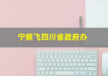 宁顺飞四川省政府办