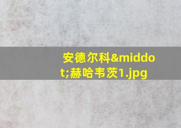 安德尔科·赫哈韦茨